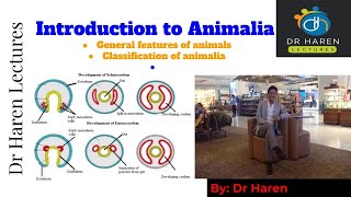 Introduction to Animalia [upl. by Ardnosak579]