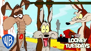 Looney Tuesdays  Ralph VS Wile E Coyote  Looney Tunes  wbkids [upl. by Diehl]