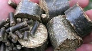 🔴 Make wood pellets from Biomass materials Free Heat [upl. by Arlene241]