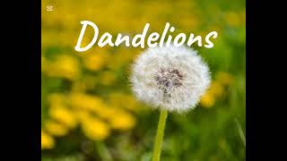 Dandelions Remix verRuth B [upl. by Allesig]