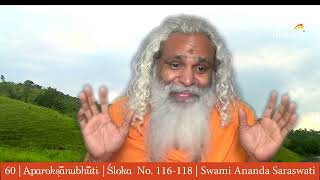 60  Aparokshanubhuti  Swami Ananda Saraswati  Verse No 116 to 118  New Vision  Pranayama [upl. by Noryv]