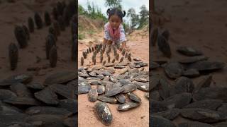 Survival Skills Single mom with a lot of oyster in forest survival oysters camping bushcraft [upl. by Rasla]