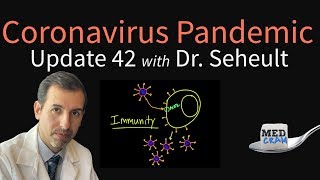 Coronavirus Pandemic Update 42 Immunity to COVID19 and is Reinfection Possible [upl. by Ahseile]