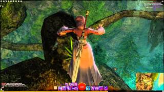 Guild Wars 2 Straits Of Devastation Vista  Lightfoot Passage [upl. by Ayra]