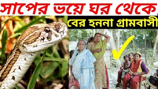 রাসেল ভাইপারের ভয়ে আতংকিত গ্রামবাসী  সাপ  রাসেলস ভাইপার  Russells viper  Russell viper [upl. by Yvehc278]