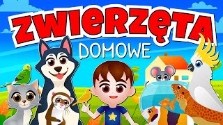 Kazio i ZWIERZĘTA DOMOWE dla dzieci 🐱 Film edukacyjny  Bajka o zwierzętach domowych [upl. by Phemia]