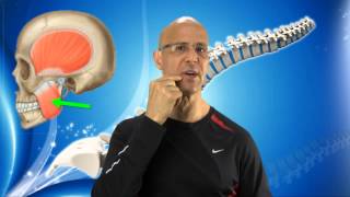 Instant TMJ Relief Maneuver for Jaw Pain Facial Pain amp Headaches  Dr Mandell [upl. by Airb466]