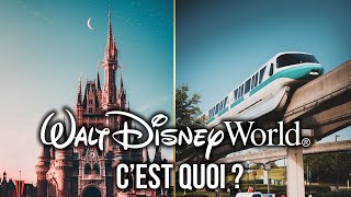 Parcs attractions hôtels transports saisons  WALT DISNEY WORLD  le RÊVE DISNEY ULTIME [upl. by Nahej]