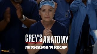 Greys Anatomy MidSeason 14 Recap [upl. by Kissie723]