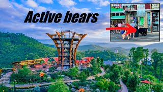 Exploring GATLINBURG TENNESSEE tourist trap in the Smokie mtns [upl. by Aneelahs]