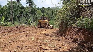 Excellent Work D6R XL Bulldozer Operator Smooths Plantation Roads in Villages [upl. by Bekha]