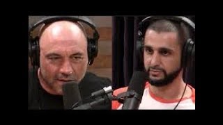 Truth amp Science Part 1 Joe Rogan amp Firas Zahabi [upl. by Adlesirc]