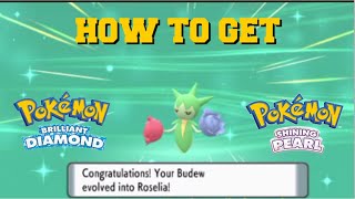 HOW TO EVOLVE BUDEW INTO ROSELIA IN POKEMON BRILLIANT DIAMOND AND SHINING PEARL [upl. by Dhar288]