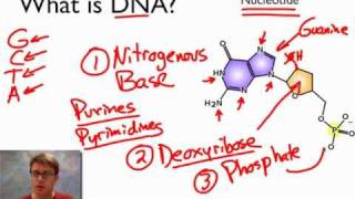 What is DNA [upl. by Zetnom]