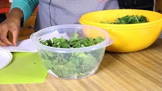 How To Keep Salad Fresh For Days Tips and Tricks [upl. by Apoor]