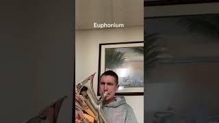 Baritone Horn vs Euphonium comparison [upl. by Lardner]