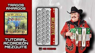 Tragos Amargos  Ramon Ayala  Tutorial Acordeón Mezquite [upl. by Lenwood]