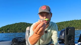 DEADLY Tips to Catch FINICKY Summer LAKE TROUT [upl. by Adraynek]