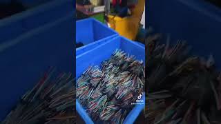 Data cable manufacturer [upl. by Nomrej]