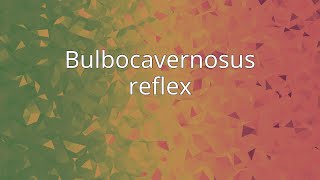 Bulbocavernosus reflex [upl. by Anaihs588]