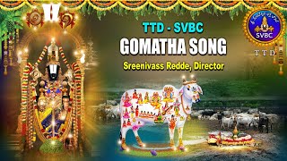 TTD  SVBC  Director Sreenivass Redde  Gomatha Song Launch in Tirumala [upl. by Damour967]