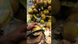 Giant Palmyra Palm Fruit Roadside Cutting Skills shorts viralshort [upl. by Lavona]