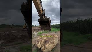 Wet soil removed with JCB shovel shortsvideo [upl. by Mazman607]