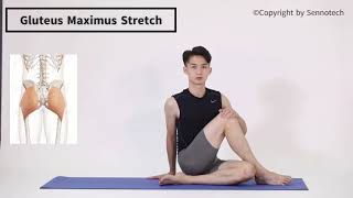 For Eversion amp Outtoeing  Gluteus Maximus Stretch [upl. by Ladin389]