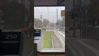 Führerstandsmitfahrt mit der Straßenbahn in Karlsruhe train [upl. by Ahsinyd]