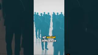 Social Influence A Level Psychology Explained  social influences on behaviour [upl. by Teece444]