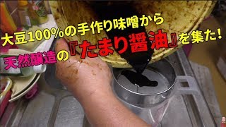 大豆100の手作り味噌から「たまり醤油」を集めてみた！ [upl. by Lener]