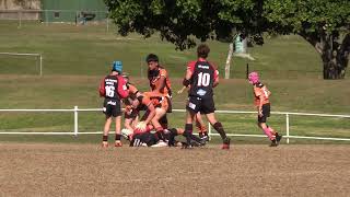 Mudgeeraba Redbacks Vs Southport Tigers U14 Div 2 Round 13 [upl. by Oirretno50]