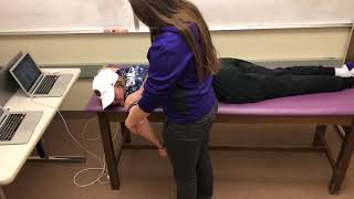 Prone Anterior Instability Test [upl. by Ackerley]