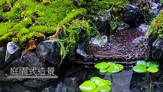 水草設缸翻缸篇2瀑布 小溪 流水 想在房間擁有一個小世界 用魚缸做出一個人造山水景 [upl. by Mmada]