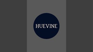 HueVine Wellness and MedSpa is live [upl. by Ardnwahsal959]