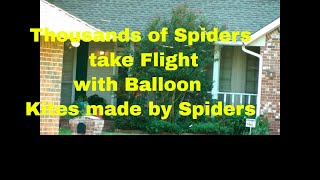 Watch Thousands Of Spiders Take Flight With Ballooning Kites [upl. by Hanafee306]