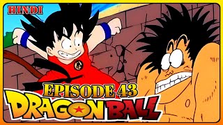 Dragon Ball Hindi Episode 43 Explained  Dragon Ball Hindi Episode  Anime In Hindi  Zakee [upl. by Massiw]