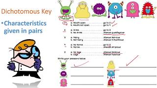 Taxonomy  Classification and Dichotomous Keys [upl. by Jamin]