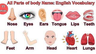 Parts of the Body in English  Parts of Body Name with Pictures  bodyparts englishvocabulary [upl. by Adahsar]