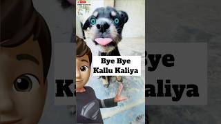 Miss You Kallu Kaliya 🥹  minivlog [upl. by Ettena]