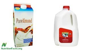 Prostate Cancer and Organic Milk vs Almond Milk [upl. by Yetsirhc]