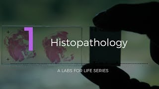 Histopathology [upl. by Parrisch]