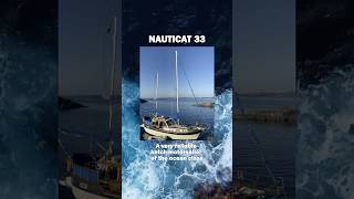 Becoming a yachtsman is not expensive as you think  sailing yachting sailboat [upl. by Moir]