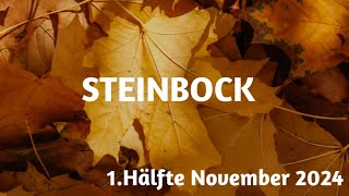 Steinbock 1 Hälfte Nov 2024  veränderte Zielsetzung [upl. by Ednarb]