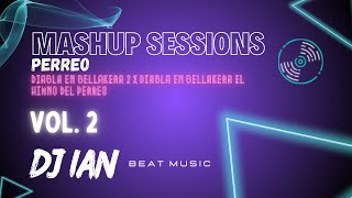 Mashup Sessions Vol 2  Perreo Visualizer DJ Ian [upl. by Akinet]