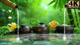 Meditation Music amp Relaxation Relaxing Sleep Music Sounds of Nature and Water Sounds SAKERA LOPER [upl. by Dnomde482]