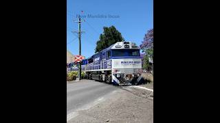 New Manildra locos trains trainspotting [upl. by Niroht941]