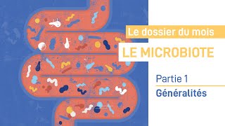 Les recherches sur le Microbiote  Partie 1 [upl. by Eidderf]