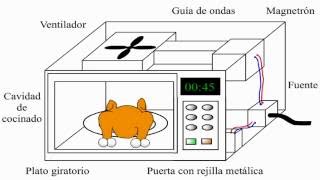 ¿Cómo funciona un horno de microondas  microwave [upl. by Laith]