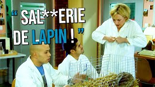 Ils donnent de la morphine à un lapin 😱 [upl. by Rihaz]